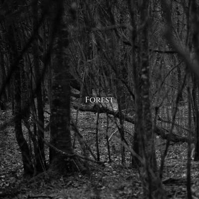 Forest's cover