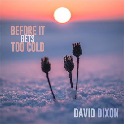 Before It Gets Too Cold By David Dixon's cover