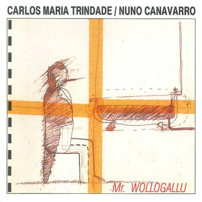 Blu Terra By Carlos Maria Trindade, Nuno Canavarro's cover