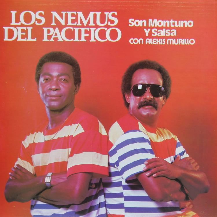 Los Nemus del Pacífico's avatar image