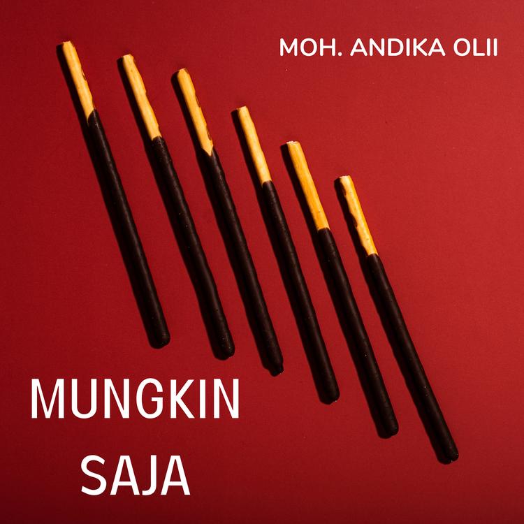 MOH. ANDIKA OLII's avatar image
