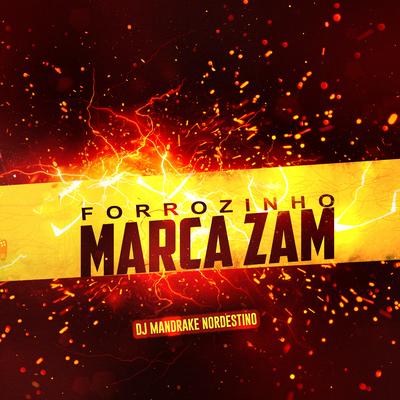 Forrozin Pode Dá Tapa na Cara By Dj Mandrake Nordestino's cover