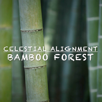 Bamboo Forest By Celestial Alignment's cover