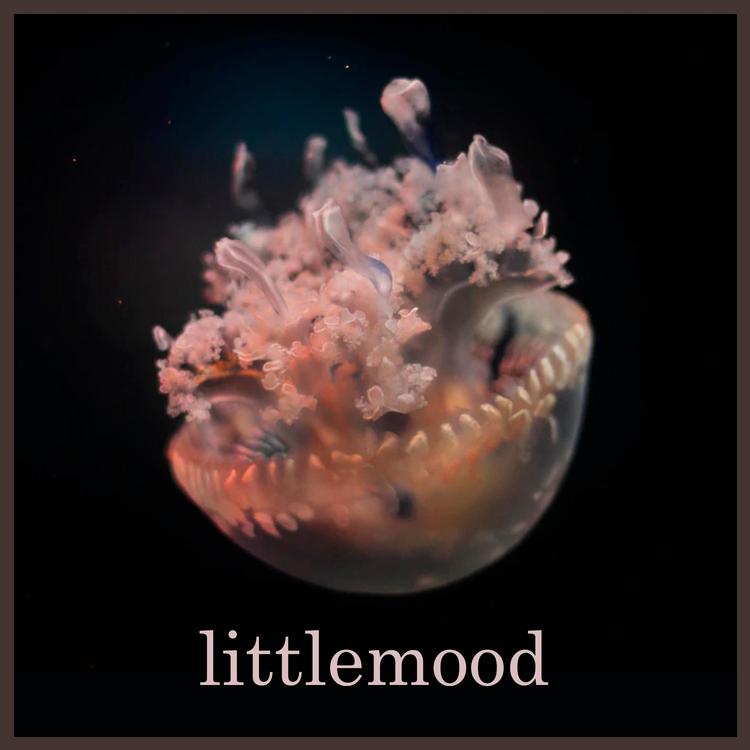 littlemood's avatar image