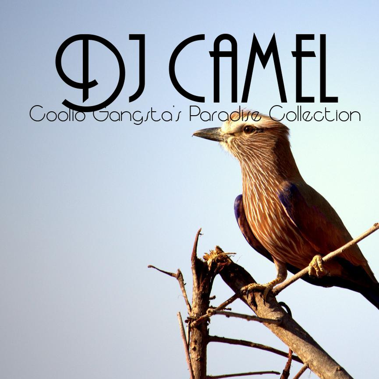 Dj Camell's avatar image