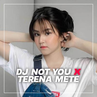 DJ NOT YOU x TERENA METE's cover