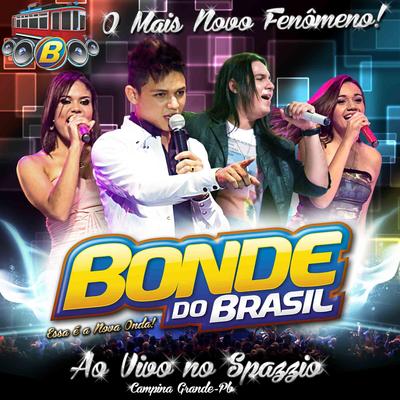 E Tome Amor (Ao Vivo) By Bonde do Brasil's cover