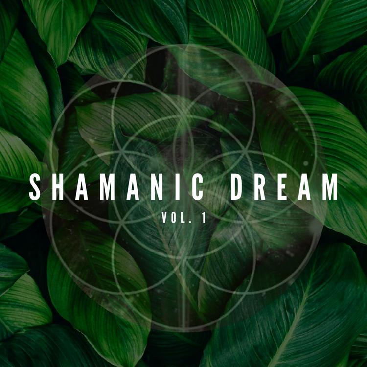 Shamanic Dream Band's avatar image