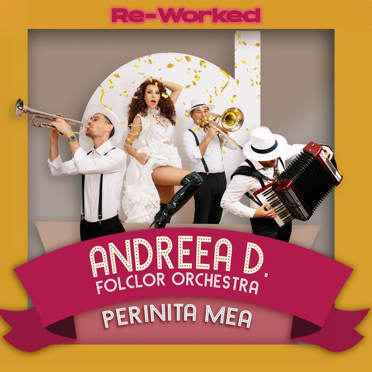 Andreea D Folclor Orchestra's avatar image