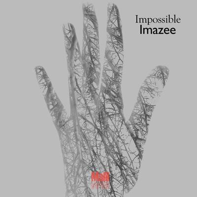 Impossible By Imazee's cover