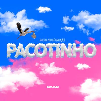 Pacotinho (Música Pra Chá Revelação)'s cover