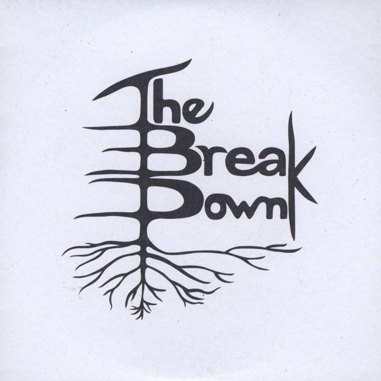 The Break Down's avatar image