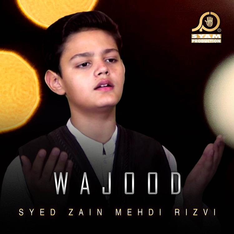 Syed Zain Mehdi Rizvi's avatar image