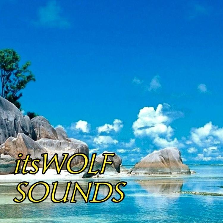 Itswolf Sounds's avatar image