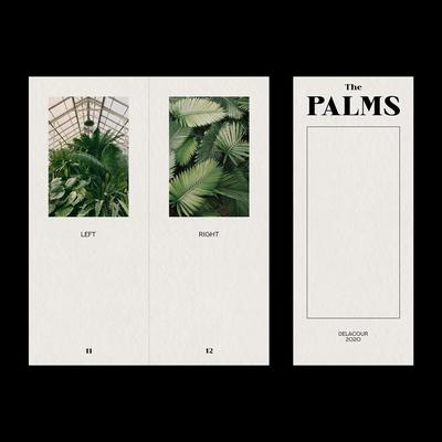 The Palms By Delacour's cover