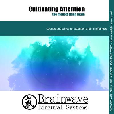 Immersion By Brainwave Binaural Systems's cover