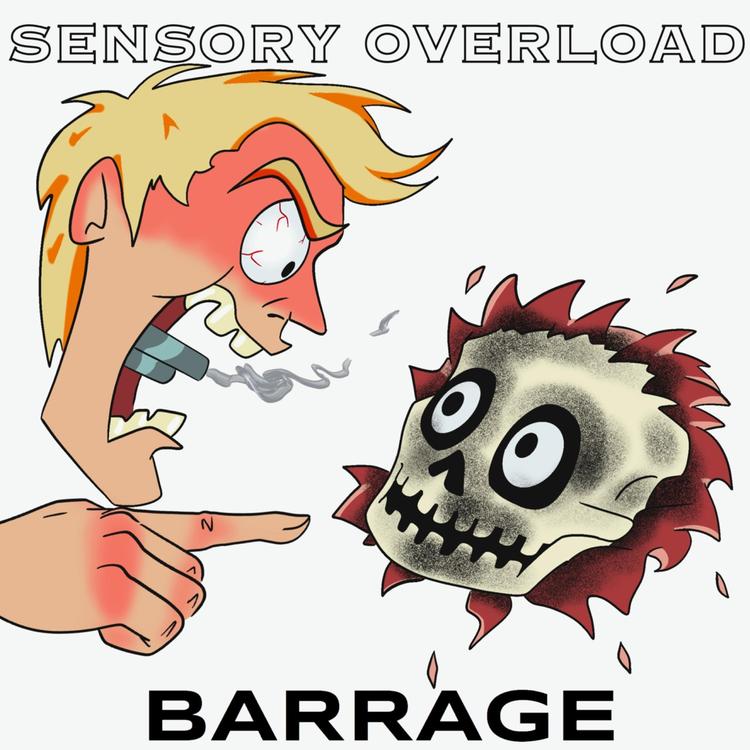 Barrage's avatar image