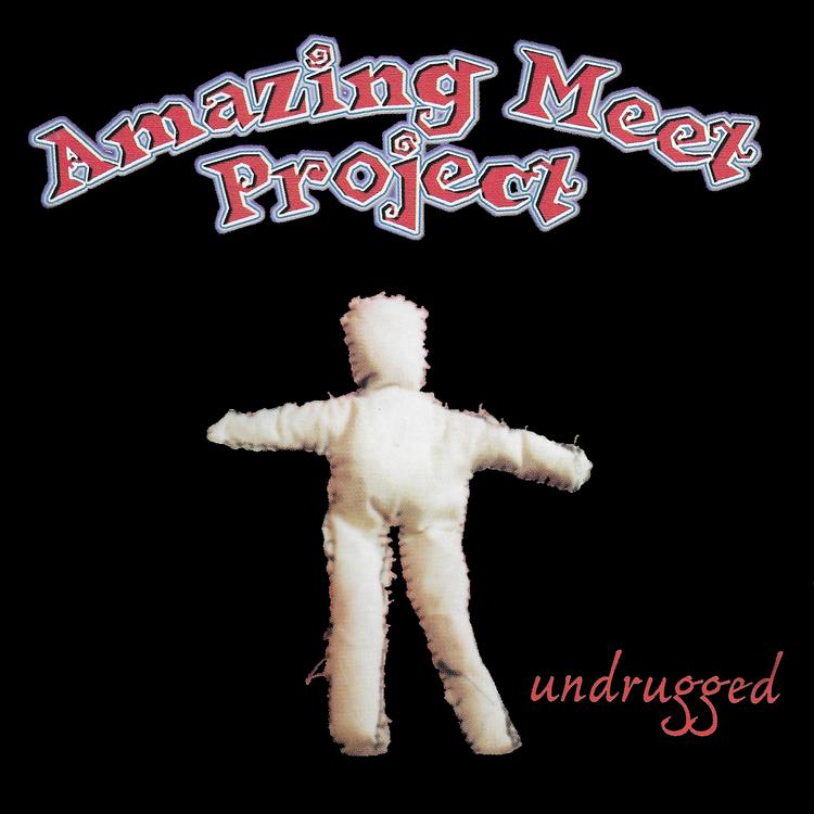 Amazing Meet Project's avatar image