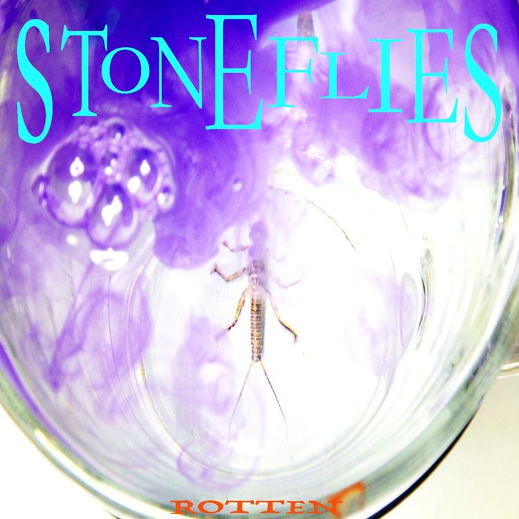 STONEFLIES's avatar image