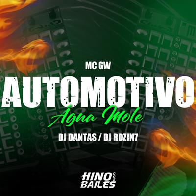 Automotivo Água Mole By Dj Dantas, DJ Rdzin7, Mc Gw's cover