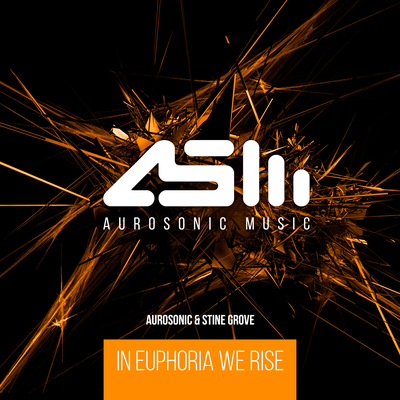 In Euphoria We Rise By Aurosonic, Stine Grove's cover