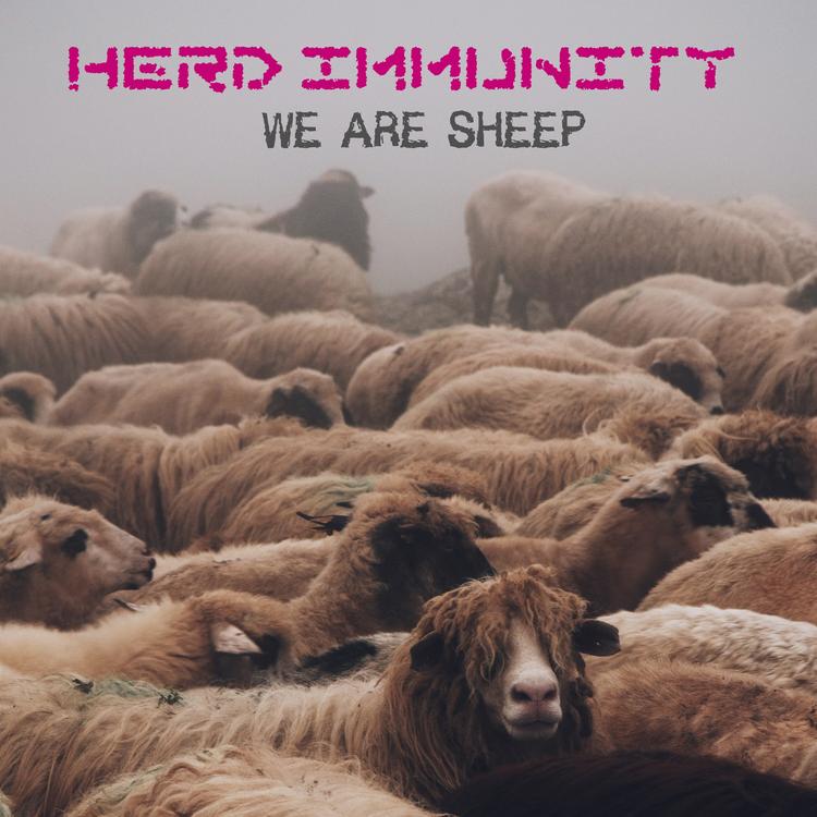Herd Immunity's avatar image