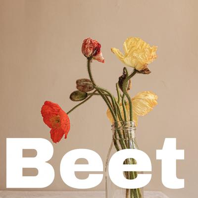 Beetot's cover