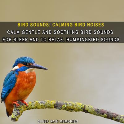 Irresistible Outdoor Bird Recording's cover