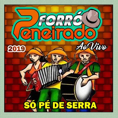 Zé priquito - Cada coisa tem sua hora - FORRÓ PENEIRADO's cover