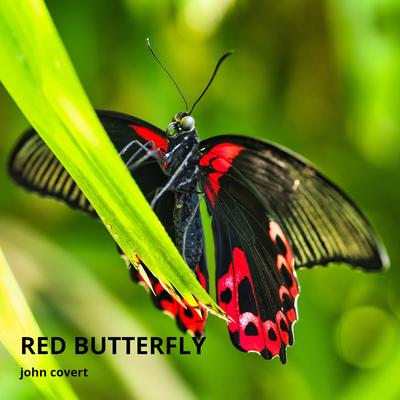 Red Butterfly's cover