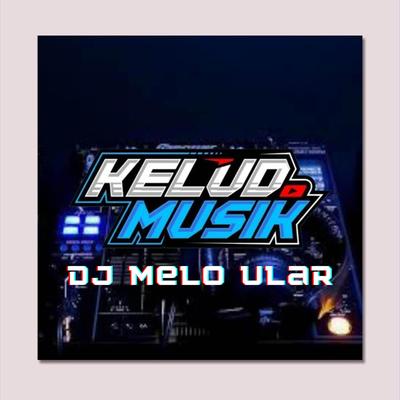 DJ MELO ULAR's cover