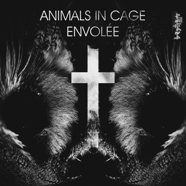 Animals in Cage's avatar image