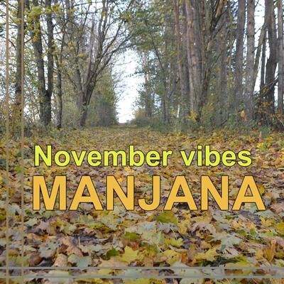 November vibes's cover