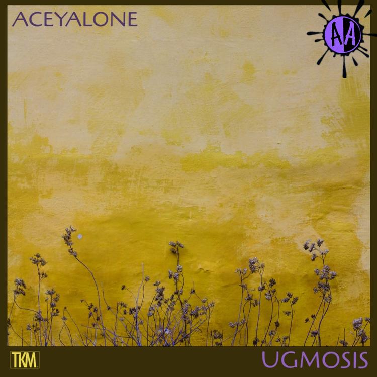 Aceyalone's avatar image