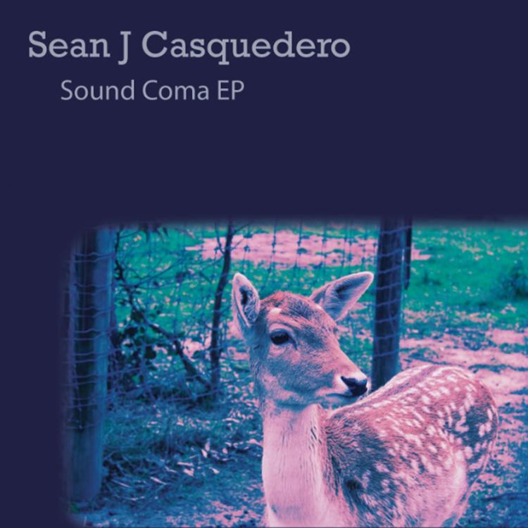 Sean J Casquedero's avatar image