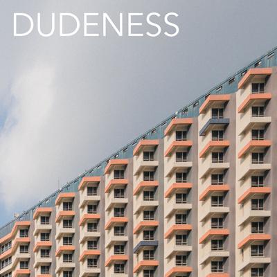 Dudeness (I'm The Dude)'s cover