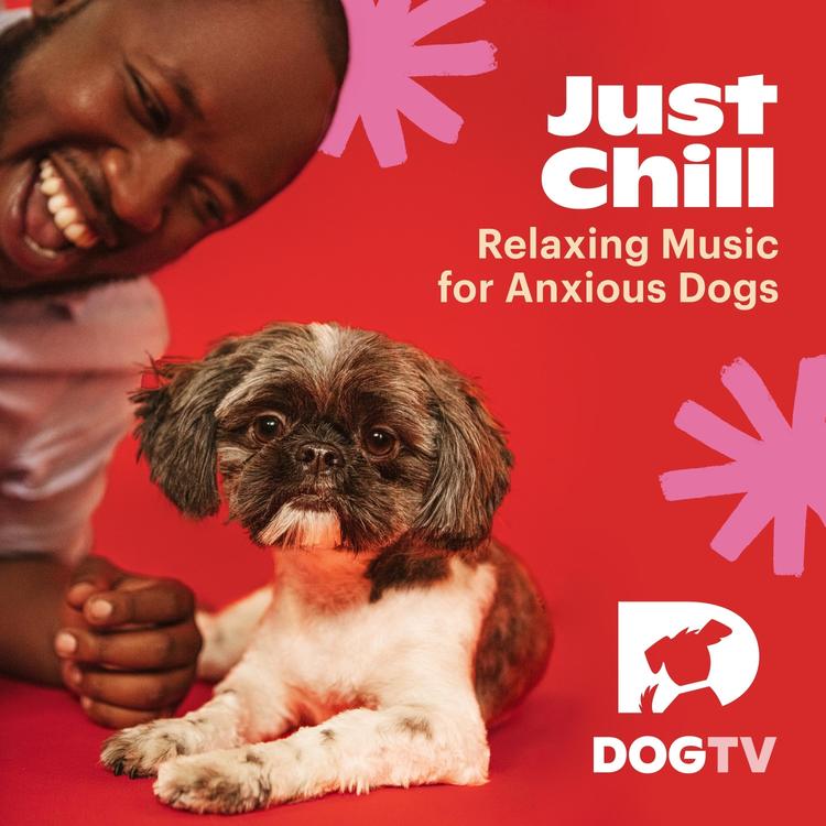 Dogtv's avatar image