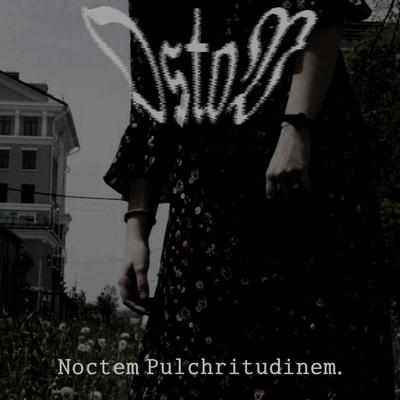 Noctem Pulchritudinem By Ostov's cover