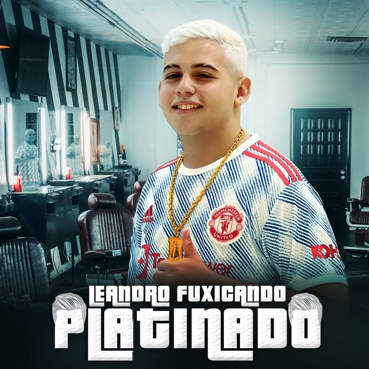 Leandro Fuxicando's avatar image