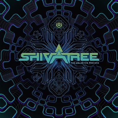 The Vision By Shivatree, Hypnoise's cover