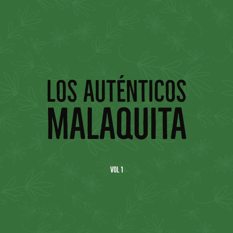 Los Autenticos Malaquita's avatar image