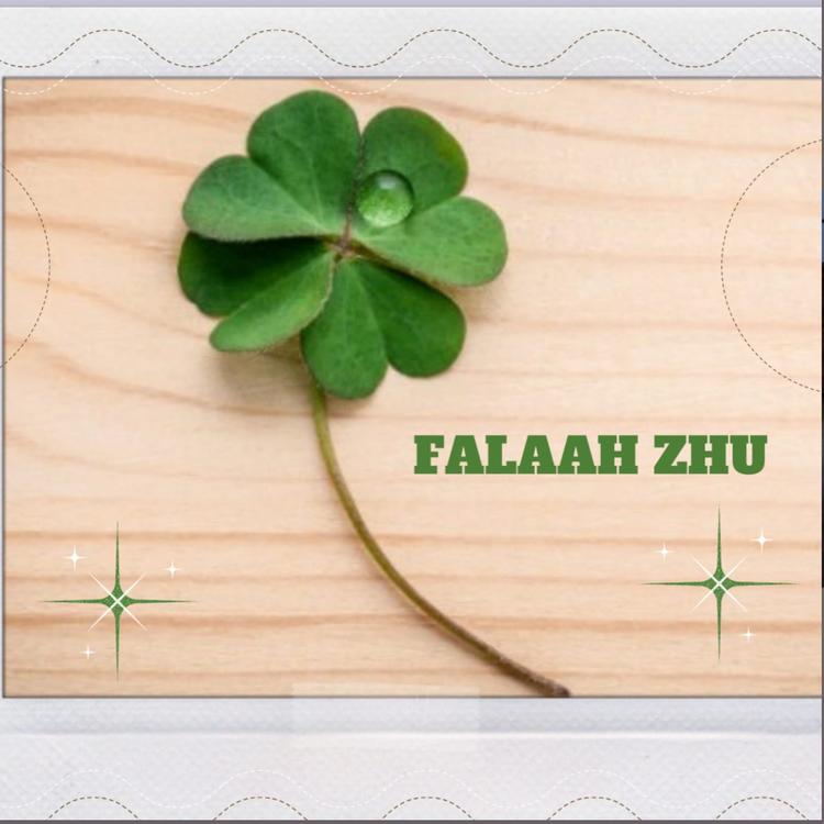 FALAAH ZHU's avatar image