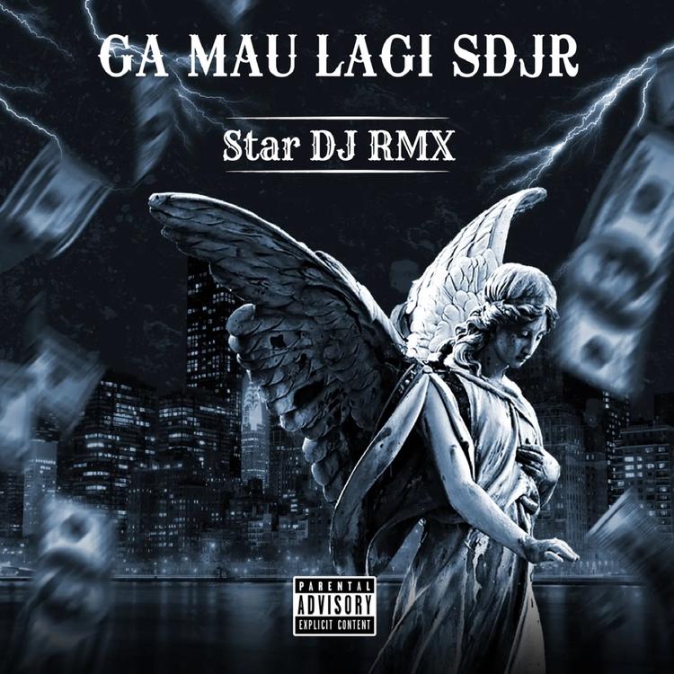 STAR DJ RMX's avatar image