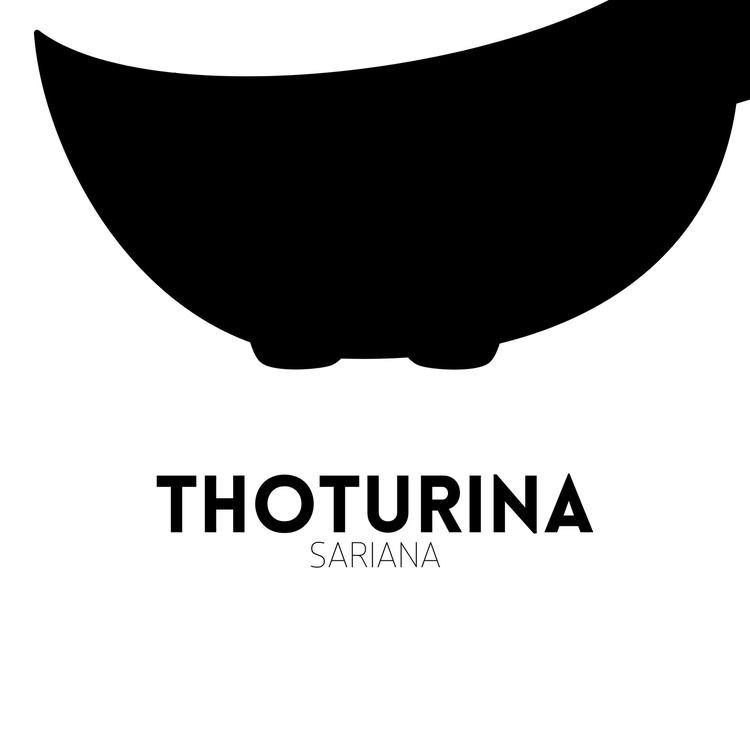 Thoturina Sariana's avatar image