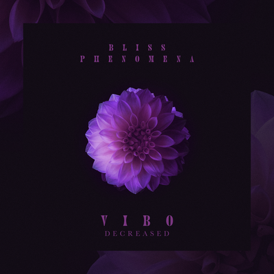 Vibo - Decreased's cover