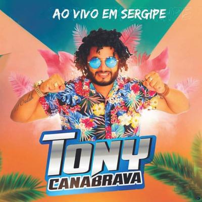 O Grave Bateu Rabeta no Chao (Ao Vivo) By Tony Canabrava's cover