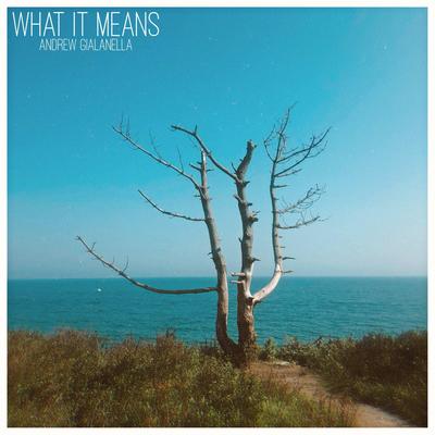 What It Means By Andrew Gialanella's cover