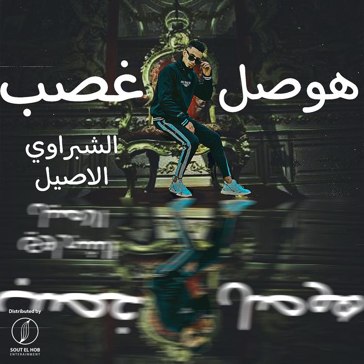 El Shabrawy El Aseel's avatar image