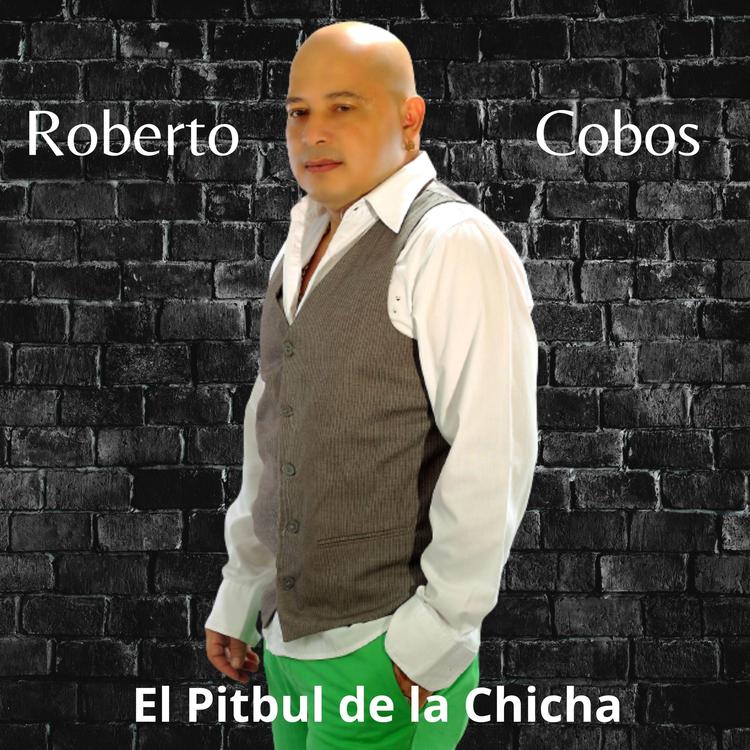 Pitbull De La Chicha's avatar image