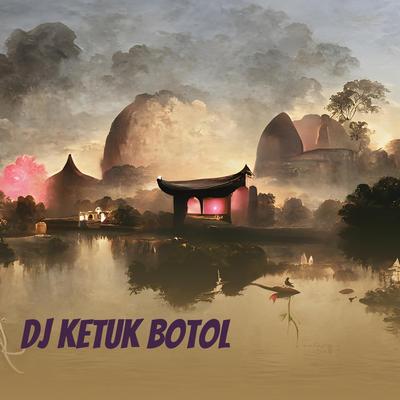 Dj Ketuk Botol By Risda Ramadani's cover